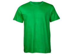 Pic a Tee Classic T shirt Emerald Green 2 247x185 1